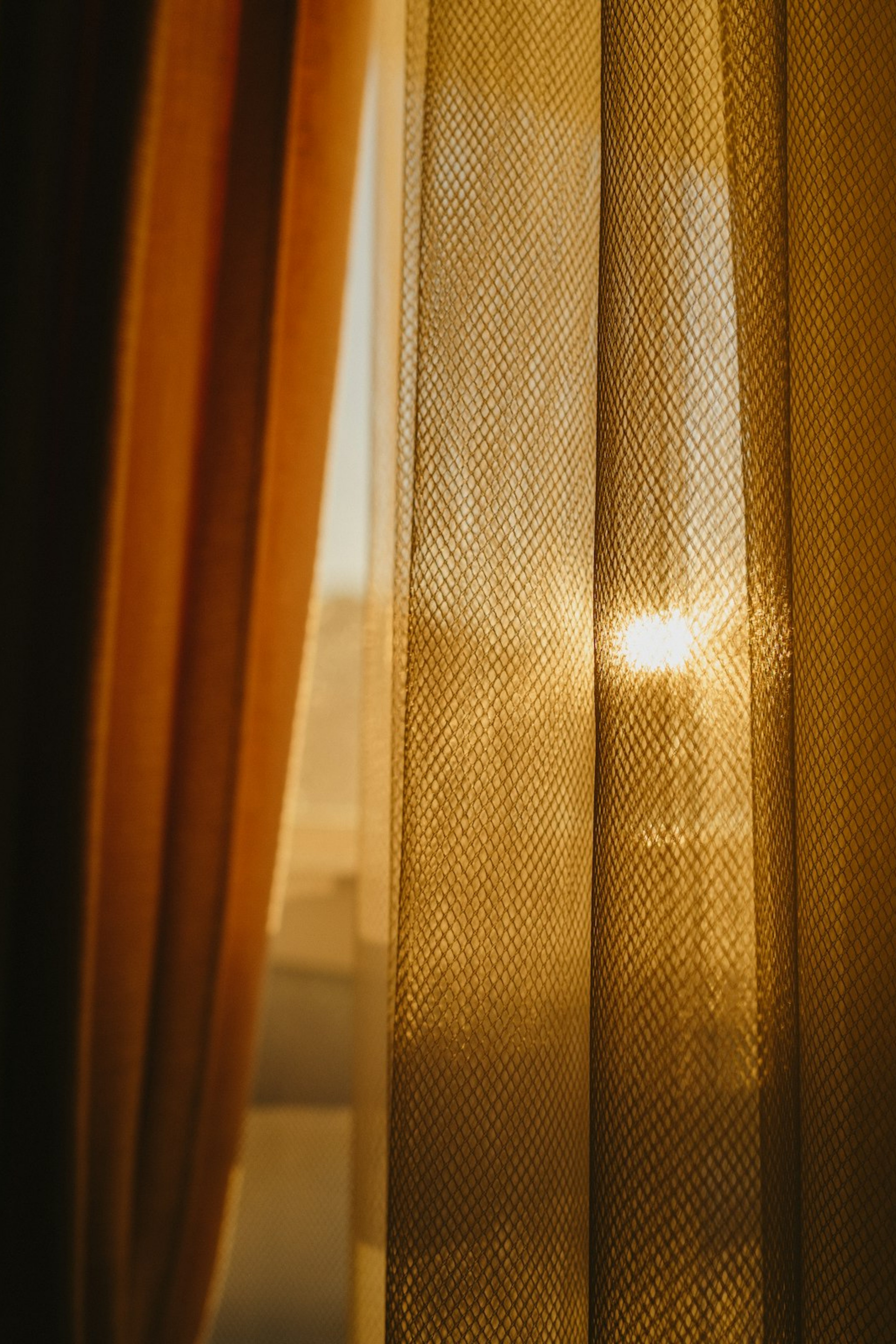 Morning light across a wall